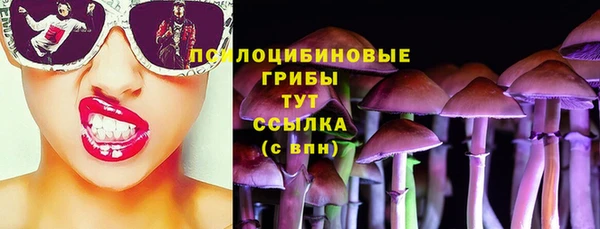 прущие грибы Богданович