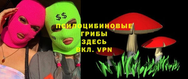 стаф Богородицк