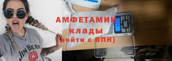 прущие грибы Богданович