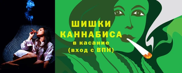 прущие грибы Богданович