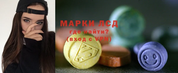 прущие грибы Богданович