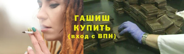 прущие грибы Богданович