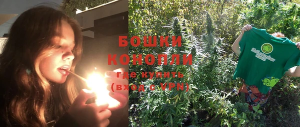 стаф Богородицк