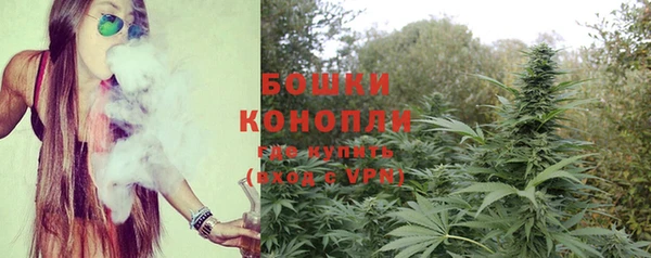 стаф Богородицк