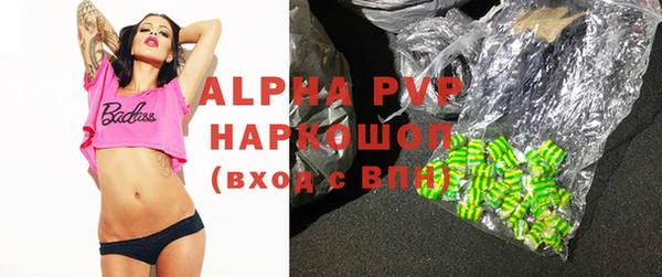 прущие грибы Богданович