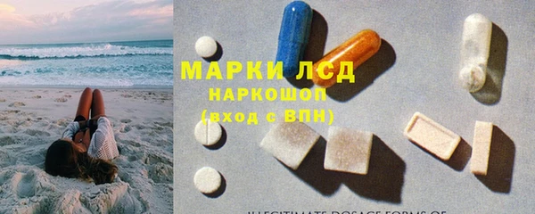 прущие грибы Богданович