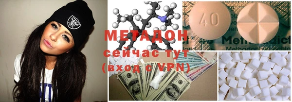 прущие грибы Богданович
