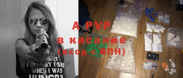 стаф Богородицк