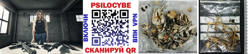 Псилоцибиновые грибы Psilocybine cubensis Дальнереченск