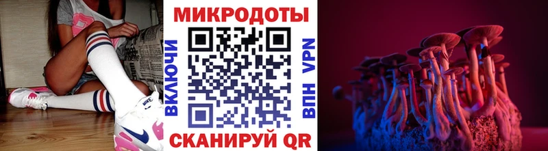 где купить наркоту Дальнереченск кракен онион Галлюциногенные грибы MAGIC MUSHROOMS
