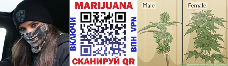 Бошки Шишки LSD WEED  Дальнереченск 